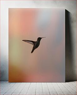 Πίνακας, Silhouette of a Hummingbird Σιλουέτα ενός κολιμπρί