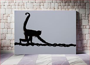 Πίνακας, Silhouette of a Monkey Σιλουέτα ενός πιθήκου