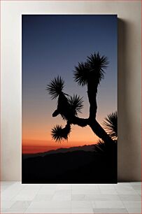 Πίνακας, Silhouette of a Tree at Sunset Σιλουέτα ενός δέντρου στο ηλιοβασίλεμα