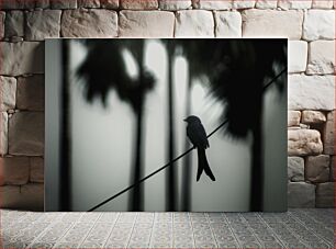Πίνακας, Silhouette of Bird on Wire Silhouette of Bird on Wire