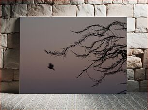 Πίνακας, Silhouette of Branches at Dusk Σιλουέτα των κλαδιών στο σούρουπο