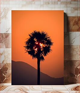 Πίνακας, Silhouette of Palm Tree at Sunset Σιλουέτα του φοίνικα στο ηλιοβασίλεμα