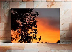 Πίνακας, Silhouette of Tree at Sunset Σιλουέτα του δέντρου στο ηλιοβασίλεμα