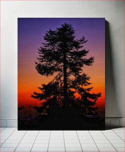 Πίνακας, Silhouette of Tree at Sunset Σιλουέτα του δέντρου στο ηλιοβασίλεμα