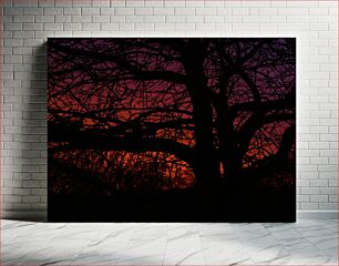 Πίνακας, Silhouette of Tree at Sunset Σιλουέτα του δέντρου στο ηλιοβασίλεμα