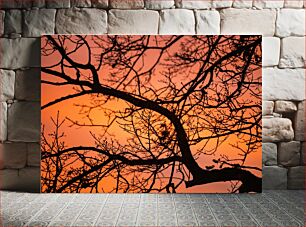 Πίνακας, Silhouette of Tree Branches at Sunset Σιλουέτα από κλαδιά δέντρων στο ηλιοβασίλεμα