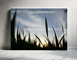 Πίνακας, Silhouetted Grass Blades at Sunset Σκιαγραφημένες λεπίδες γρασιδιού στο ηλιοβασίλεμα