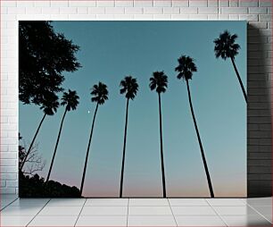 Πίνακας, Silhouetted Palm Trees at Sunset Σκιαγραφημένοι φοίνικες στο ηλιοβασίλεμα