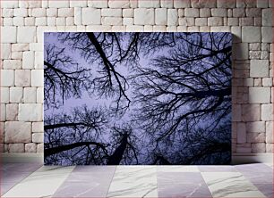 Πίνακας, Silhouetted Trees Against a Twilight Sky Σκιαγραφημένα δέντρα ενάντια στον ουρανό του λυκόφωτος