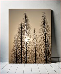 Πίνακας, Silhouetted Trees at Sunset Σιλουέτα δέντρα στο ηλιοβασίλεμα