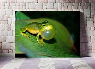 Πίνακας, Singing Frog on a Leaf Τραγουδώντας Βάτραχος σε φύλλο