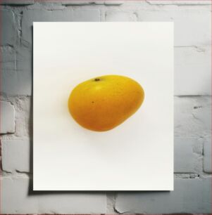 Πίνακας, Single Mango on White Background Μονό Mango σε λευκό φόντο