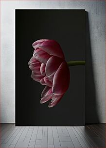 Πίνακας, Single Pink Tulip Μονή ροζ τουλίπα