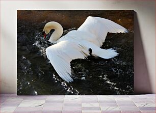 Πίνακας, Single Swan in Water Ενιαίος Κύκνος στο νερό