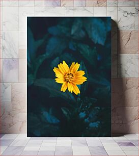 Πίνακας, Single Yellow Flower in Foliage Μονό κίτρινο λουλούδι στο φύλλωμα