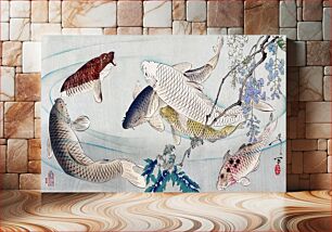 Πίνακας, Six carp swimming beneath wisteria (1889) by Tsukioka Yoshitoshi