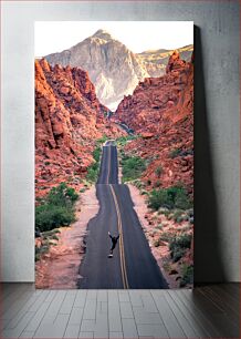 Πίνακας, Skateboarding through the Canyon Skateboarding μέσω του φαραγγιού