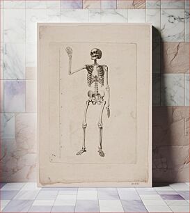 Πίνακας, Skeleton by Gerhard Ludvig Lahde