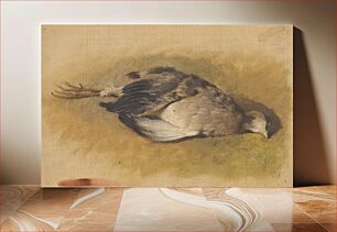 Πίνακας, Sketch of a dead partridge by Friedrich Carl von Scheidlin