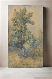 Πίνακας, Sketch of a tree by László Mednyánszky