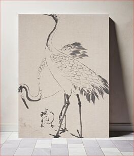 Πίνακας, Sketch of Two Cranes with Chick by Anonymous