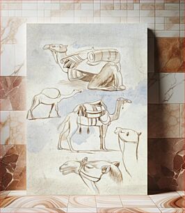 Πίνακας, Sketch studies of camels