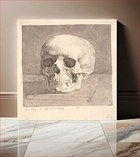 Πίνακας, Skull, front view by Johan Thomas Lundbye