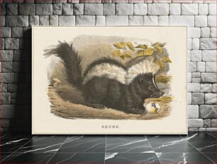 Πίνακας, Skunk