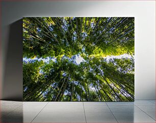 Πίνακας, Skyward Bamboo Grove Skyward Bamboo Grove