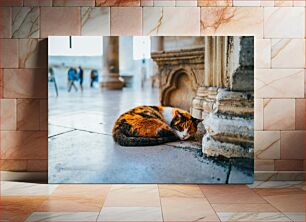 Πίνακας, Sleeping Cat in Ancient Ruins Κοιμωμένη γάτα σε αρχαία ερείπια