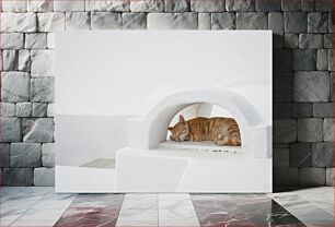 Πίνακας, Sleeping Cat in White Archway Κοιμωμένη γάτα στη Λευκή Αψίδα