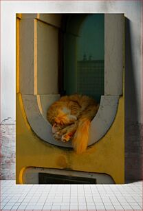 Πίνακας, Sleeping Cat on a Window Sill Κοιμωμένη γάτα σε περβάζι παραθύρου