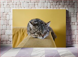 Πίνακας, Sleeping Cat on a Yellow Couch Κοιμωμένη γάτα σε έναν κίτρινο καναπέ