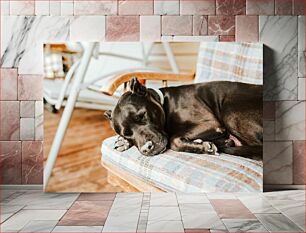 Πίνακας, Sleeping Dog on Chair Sleeping Dog on Chair