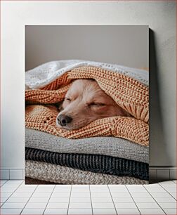 Πίνακας, Sleeping Dog Wrapped in Blankets Sleeping Dog τυλιγμένο σε κουβέρτες
