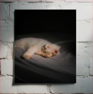 Πίνακας, Sleeping Kitten on Bed Κοιμώμενο γατάκι στο κρεβάτι