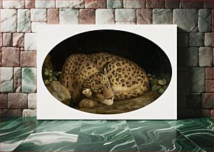 Πίνακας, Sleeping Leopard (1777) by George Stubbs