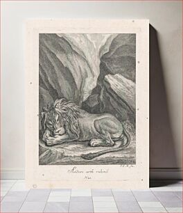 Πίνακας, Sleeping lion, Johann Elias Ridinger