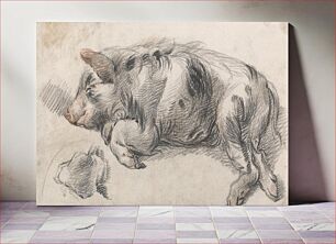 Πίνακας, Sleeping Pig