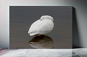 Πίνακας, Sleeping White Bird Λευκό πουλί κοιμισμένο