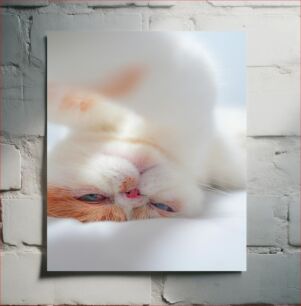 Πίνακας, Sleepy Cat Νυσταγμένη γάτα