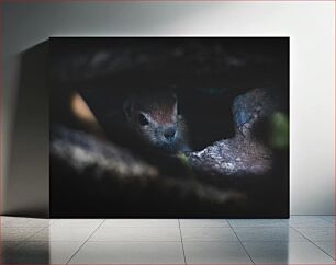 Πίνακας, Small Animal Hiding in Darkness Μικρό ζώο που κρύβεται στο σκοτάδι