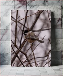 Πίνακας, Small Bird on Bare Tree Branch Μικρό πουλί στο γυμνό κλαδί δέντρου