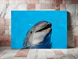Πίνακας, Smiling Dolphin in Clear Blue Water Χαμογελαστό Δελφίνι σε Καθαρά Μπλε Νερά
