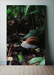 Πίνακας, Snail in the Forest Σαλιγκάρι στο Δάσος