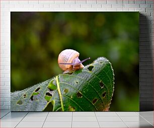Πίνακας, Snail on Leaf Σαλιγκάρι σε φύλλο