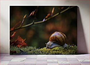 Πίνακας, Snail on Moss Snail on Moss