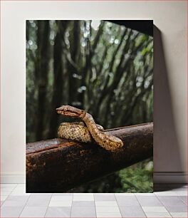 Πίνακας, Snake in the Forest Φίδι στο Δάσος
