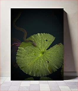 Πίνακας, Snake on Lily Pad Snake on Lily Pad