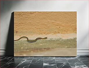 Πίνακας, Snake on Rough Surface Φίδι σε τραχιά επιφάνεια